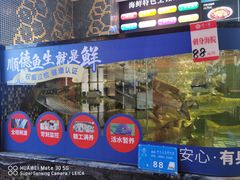 -寻味顺德·珍之宝酒楼(银钻店)