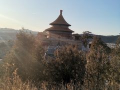 -普乐寺