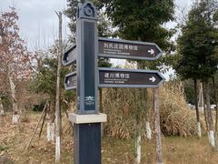 -安仁古镇