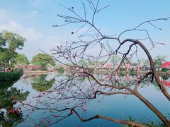 -无锡蠡湖国家湿地公园-蠡园