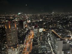 -六本木新城展望台(东京城市景观)
