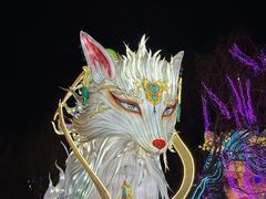 -淄博花灯齐彩城