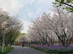 -白塘生态植物园
