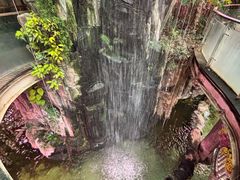 -正佳雨林生态植物园