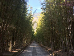 -蝴蝶泉公园