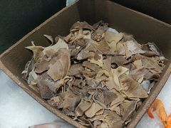 -新艺自助美食城(中山路店)