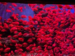 -多彩贵州城极地海洋世界