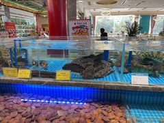 水产区-皇宫大酒店
