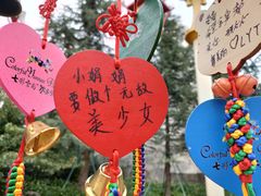 -七彩云南欢乐世界