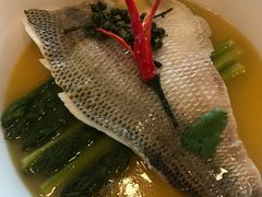 -原食日记(三里屯店)
