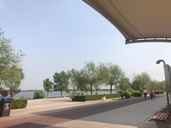 -武清南湖绿博园