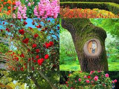 -外滩8号 whisky bar(金延大厦店)