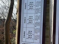 -镇江市南山风景名胜区竹林景区