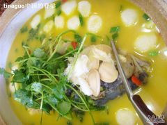 鱼头-西新饭店(城中店)