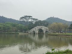-顺峰山公园