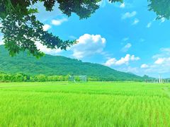 -艾米稻香小镇