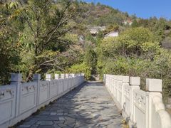 -白水寺森林公园