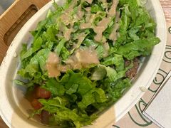 -油梨树AVOCADO TREE(望京店)