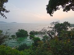 -上海市保健医疗中心