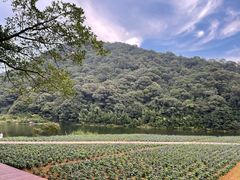 -广州市石门国家森林公园