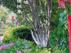 -阅江楼风景区