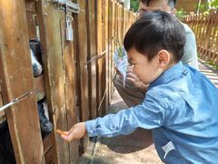 -杭州千岛湖开元度假村