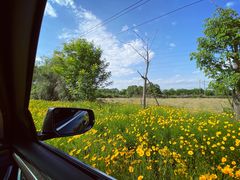 -桤木河湿地公园