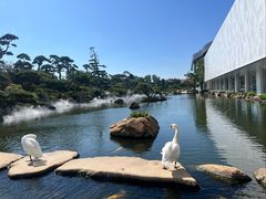 -罗红摄影艺术馆