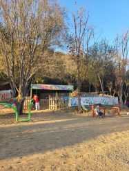 -浅山蜜塘奇妙乐园·亲子营地