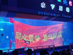-泉城欧乐堡海洋极地世界