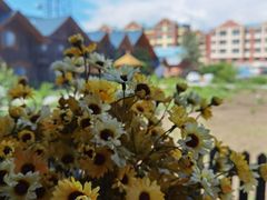 -玛丽亚西餐厅非遗俄餐