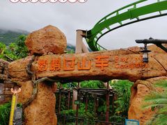 -鹦鹉过山车
