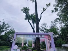 -云溪植物园