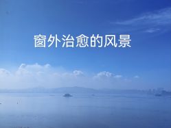 -臻康乃馨月子中心(集美店)