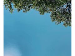 -雨花胜境