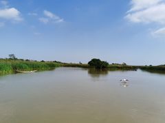 -盐城丹顶鹤湿地生态旅游区