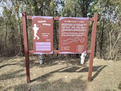 -云岗森林公园