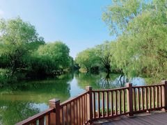-长兴太湖图影湿地文化园