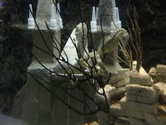 -太平洋海底世界