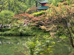 -岳麓山风景名胜区