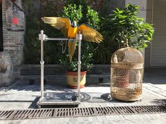 -那家小馆•北京菜•烤鸭(中关村店)