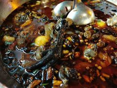 -黑竹香鸡(营和巷店)