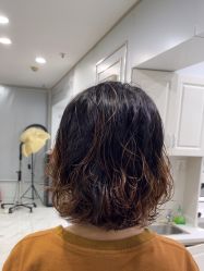-镁连社·美联社