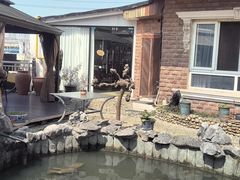 -漫渡庄绿岛花园•隐世庭园菜(滨湖店)