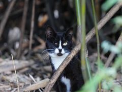 -苏州河梦清园环保主题公园