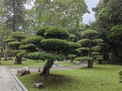 -南宁南湖公园