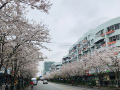 -永乐路-路侧停车场