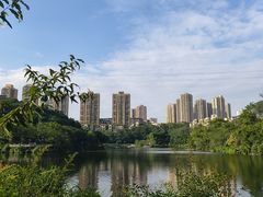 -重庆彩云湖湿地公园