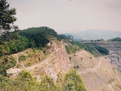 -黄埔油麻山森林公园
