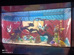 -烟台海昌鲸鲨海洋公园